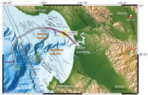 Underwater telecom cables make superb seismic network