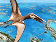 95 million year old fossil reveals new group of pterosaurs