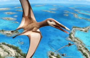 95-million-year-old fossil reveals new group of pterosaurs 95 million year old fossil reveals new group of pterosaurs