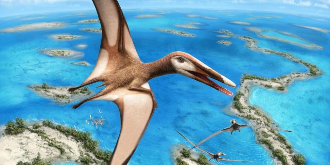95-million-year-old fossil reveals new group of pterosaurs 95 million year old fossil reveals new group of pterosaurs