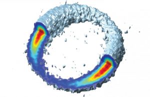 A momentous view on the birth of photoelectrons A momentous view on the birth of photoelectrons