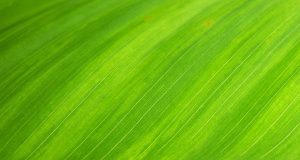 Big step in producing carbon neutral fuel