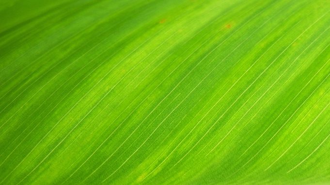 Big step in producing carbon neutral fuel