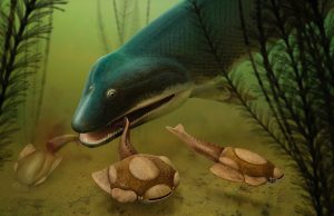 Bite marks in fossils reveal demise of our early relatives Bite marks in fossils reveal demise of our early relatives