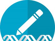 CRISPR-resistant viruses build ‘safe rooms’ to shield genomes from DNA-dicing enzymes CRISPR resistant viruses build safe rooms to shield genomes from DNA dicing enzymes