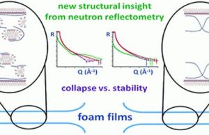 Cheers! Scientists take big step towards making the perfect head of beer Cheers Scientists take big step towards making the perfect head of beer