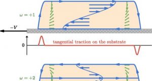 Discovery reveals tractionless motion is possible