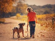Early life exposure to dogs may lessen risk of developing schizophrenia