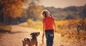Early life exposure to dogs may lessen risk of developing schizophrenia