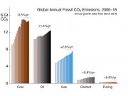 Global carbon emissions growth slows but hits record high