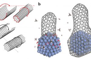 Growing carbon nanotubes with the right twist Growing carbon nanotubes with the right twist scaled
