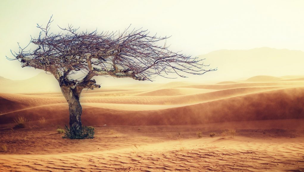 Halting climate change means a world without fossil fuels—not merely curbing emissions