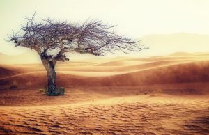 Halting climate change means a world without fossil fuels—not merely curbing emissions Halting climate change means a world without fossil fuels—not merely curbing emissions