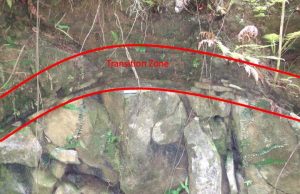 Hard as a rock? Maybe not, say bacteria that help form soil Hard as a rock Maybe not say bacteria that help form soil