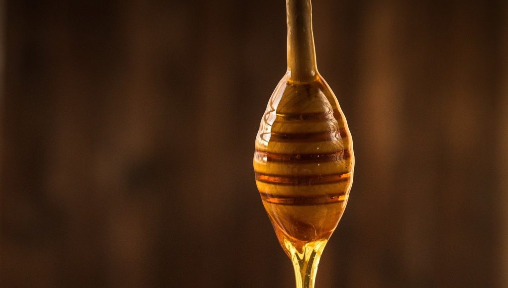 How a Manuka honey sandwich could be the key to fighting infections