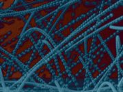 How planets may form after dust sticks together How planets may form after dust sticks together