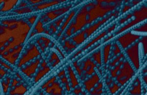 How planets may form after dust sticks together How planets may form after dust sticks together