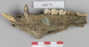 Large scale feasts at ancient capital of Ulster drew crowds from across Iron Age Ireland scaled