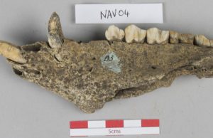 Large scale feasts at ancient capital of Ulster drew crowds from across Iron Age Ireland Large scale feasts at ancient capital of Ulster drew crowds from across Iron Age Ireland scaled