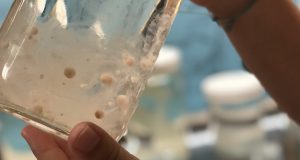 Microplastics 1 million times more abundant in the ocean than previously thought scaled