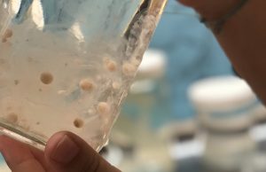 Microplastics 1 million times more abundant in the ocean than previously thought Microplastics 1 million times more abundant in the ocean than previously thought scaled
