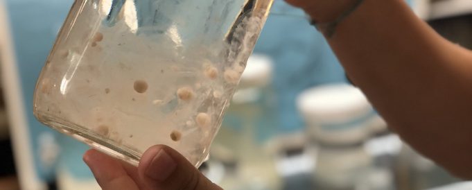 Microplastics 1 million times more abundant in the ocean than previously thought scaled