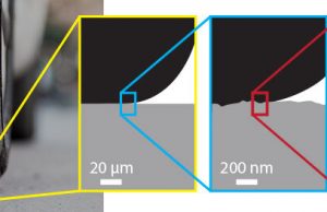 New research finds missing link between soft surface adhesion and surface roughness New research finds missing link between soft surface adhesion and surface roughness