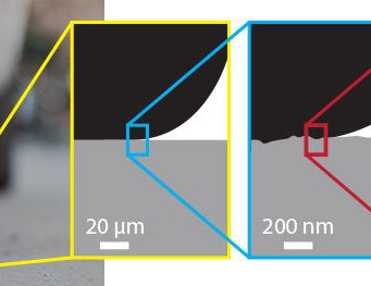 New research finds missing link between soft surface adhesion and surface roughness New research finds missing link between soft surface adhesion and surface roughness