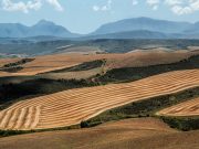 Newly identified jet-stream pattern could imperil global food supplies, says study Newly identified jet stream pattern could imperil global food supplies says study
