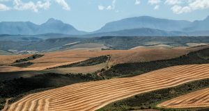 Newly identified jet stream pattern could imperil global food supplies says study