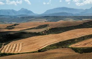 Newly identified jet-stream pattern could imperil global food supplies, says study Newly identified jet stream pattern could imperil global food supplies says study