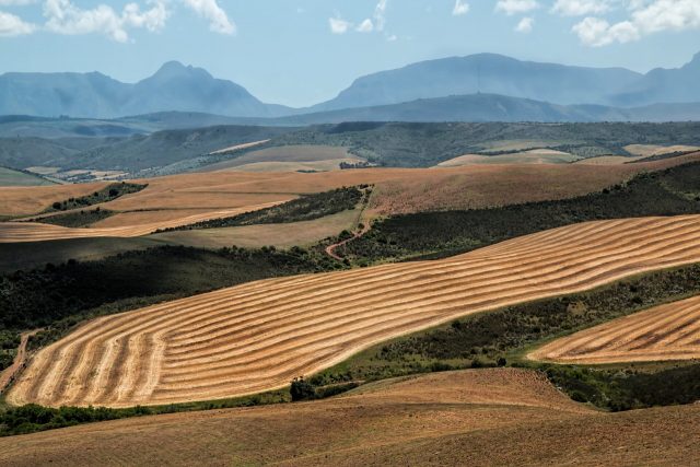 Newly identified jet stream pattern could imperil global food supplies says study
