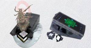 Paper based test could diagnose Lyme disease at early stages