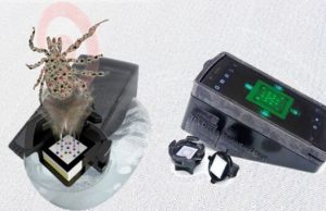 Paper-based test could diagnose Lyme disease at early stages Paper based test could diagnose Lyme disease at early stages