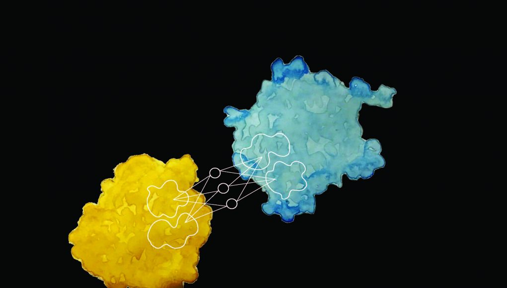 Predicting a proteins behavior from its appearance scaled