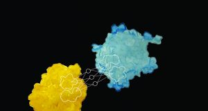 Predicting a proteins behavior from its appearance scaled