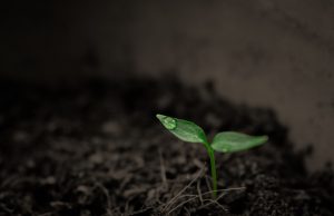 Reduced soil tilling helps both soils and yields Reduced soil tilling helps both soils and yields