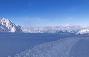 Research unravels mystery of how early animals survived ice age Research unravels mystery of how early animals survived ice age 1