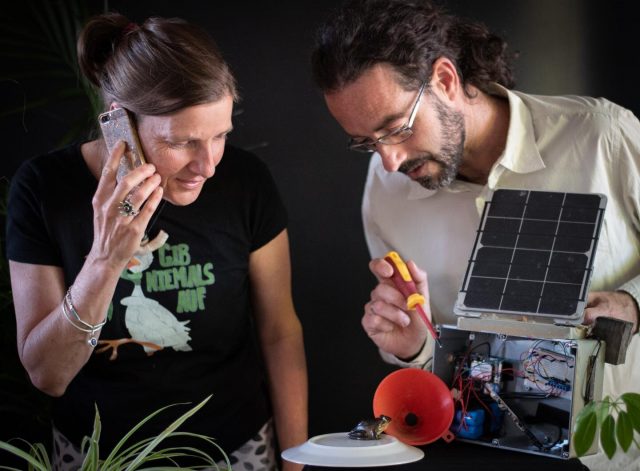 Researchers develop the FrogPhone to remotely call frogs in the wild