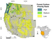 Researchers find some forests crucial for climate change mitigation, biodiversity Researchers find some forests crucial for climate change mitigation biodiversity scaled