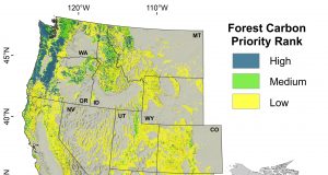 Researchers find some forests crucial for climate change mitigation biodiversity scaled