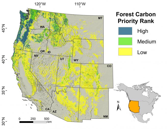 Researchers find some forests crucial for climate change mitigation biodiversity scaled