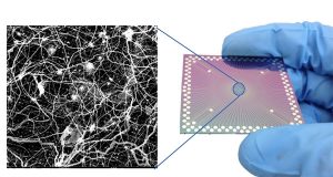 Researchers observe brain like behavior in nanoscale device