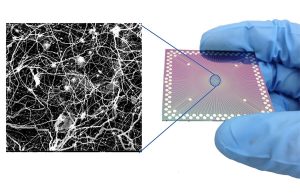 Researchers observe brain-like behavior in nanoscale device Researchers observe brain like behavior in nanoscale device