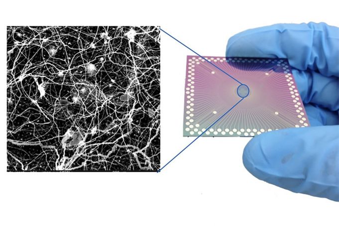 Researchers observe brain-like behavior in nanoscale device Researchers observe brain like behavior in nanoscale device