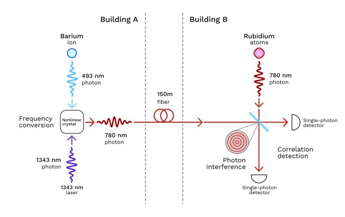 Scientists correlate photon pairs of different colors generated in separate buildings Scientists correlate photon pairs of different colors generated in separate buildings