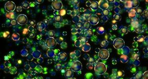 Scientists create a crystal within a crystal for new electronic devices