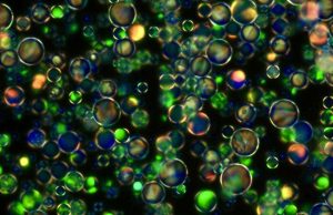 Scientists create a ‘crystal within a crystal’ for new electronic devices Scientists create a crystal within a crystal for new electronic devices