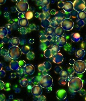 Scientists create a ‘crystal within a crystal’ for new electronic devices Scientists create a crystal within a crystal for new electronic devices