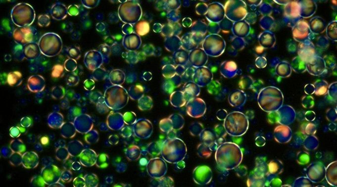 Scientists create a crystal within a crystal for new electronic devices